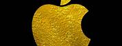 iPhone Apple Logo Gold