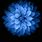 iPhone Blue Flower