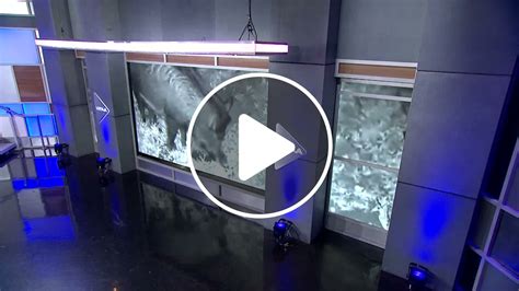 Feral hogs causing problems in Mesquite - NewsBreak