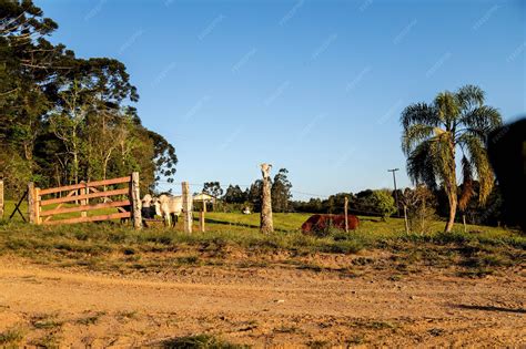 Portão de madeira rústico em um cenário rural | Foto Premium