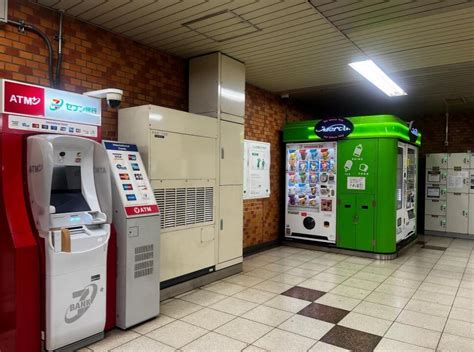 Sumo, Sushi, Tea, Temples and Tokyo Tower