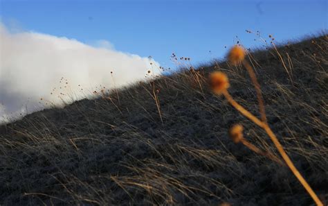 Hazen fire expands to 299 acres with no containment