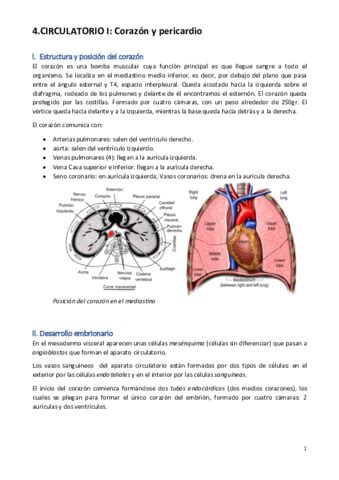 ANATOMIA-DEL-SISTEMA-DIGESTIVO.pdf