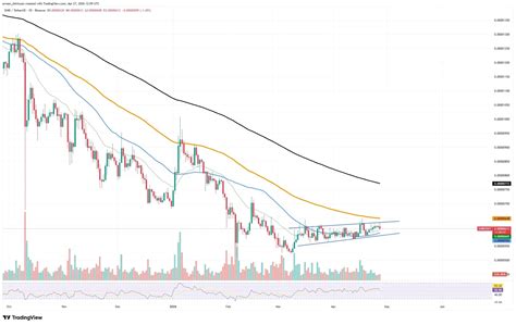 Shiba Inu Selling Pressure Eases but Structural Weakness Persists