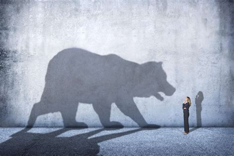 If I Could Only Buy and Hold a Single Stock, This Would Be It | The Motley Fool Canada