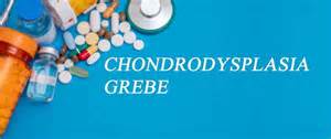 Chondrodysplasia: Causes, Symptoms, Diagnosis and Treatment