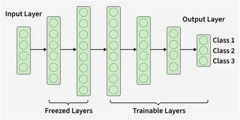 Introduction To Transfer Learning - GeeksforGeeks