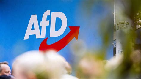 Bild announced a new rating record for the German AfD party | World ...