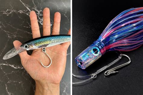 WAHOO (Acanthocybium solandri) – OOSH FISHING