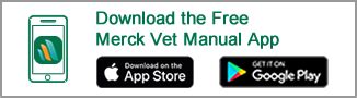Overview of the Exocrine Pancreas in Dogs and Cats - Digestive System ...