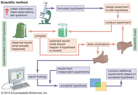Scientific method | Definition, Steps, & Application | Britannica