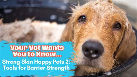 Strong Skin Happy Pets – Allergic dogs and cats and How to Repair the Skin Barrier - Your Vet ...