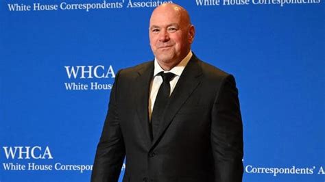 What's behind Dana White? Fans distracted by artwork during UFC White ...