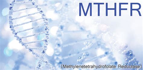 MTHFR Gene Mutation | Homozygous C677T | Facebook