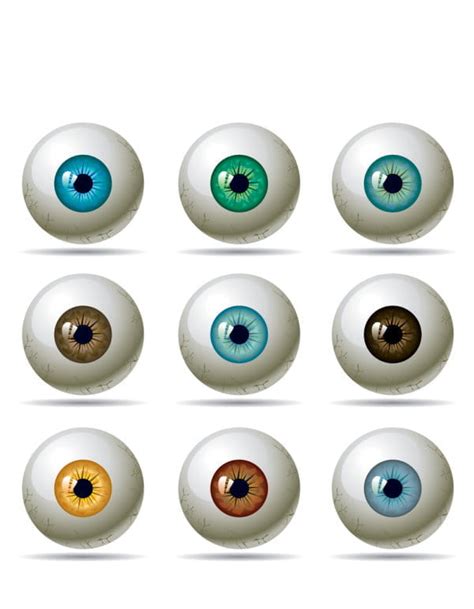 A variety of eye pupil - vector ai | UIDownload