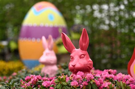 Why the Christian holiday of Easter is celebrated with egg hunts