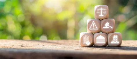 Image result for Governance Structure