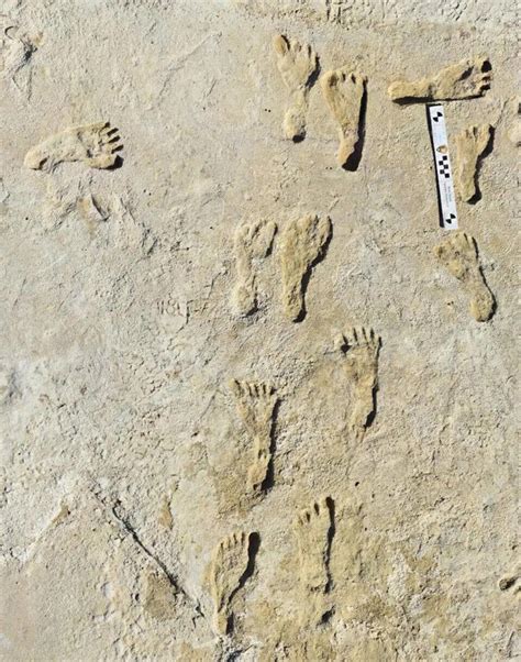 In 2021, researchers scanning a New Mexico lakebed found 23,000-year ...