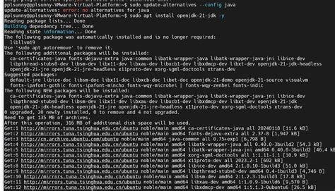 在 Ubuntu24.04 上安装 JDK 21（Java 21）