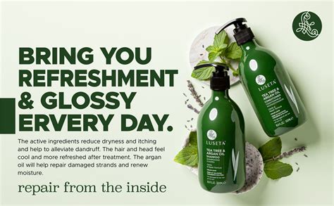 Luseta Tea Tree Shampoo and conditioner Set with Argan Oil for Oily ...