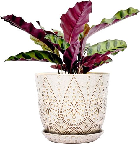 6 Inch Ceramic Planter, Blue Plant Pot with Drainage Holes and Saucers ...