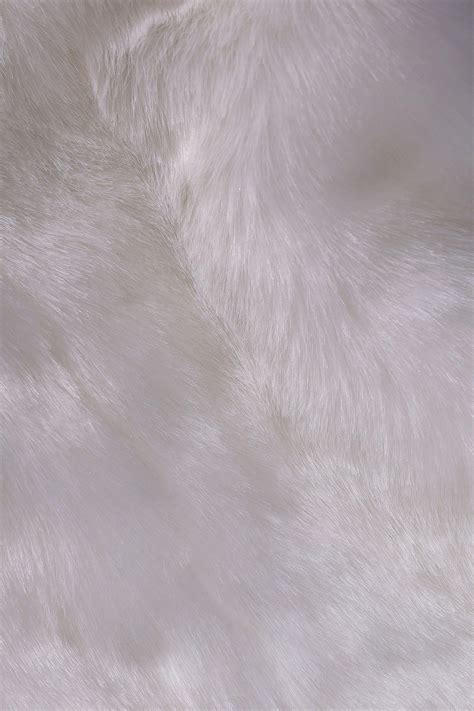 Furry Furries Fur Suit Photos, Download The BEST Free Furry Furries Fur Suit Stock Photos & HD ...