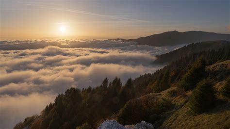 Doctrine of Reliability: Seeing Clearly in a Darkening World