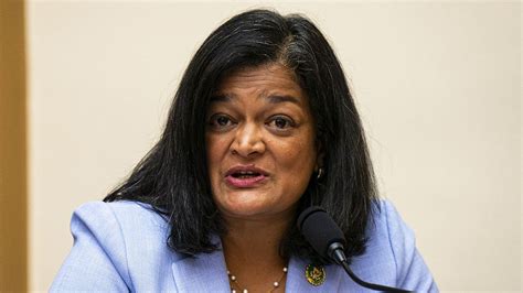 House Democrat slips up, says Trump ‘incited an erection’ in apparent ...