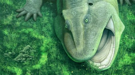 This 275-million-year-old animal had a twisted jaw like nothing alive today | ScienceDaily