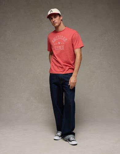 Buy AE Lightweight Icon Logo Graphic T-Shirt Online - 40226996