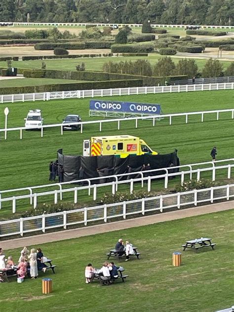 Horse dies and jockey rushed to hospital after horror incident at Ascot ...