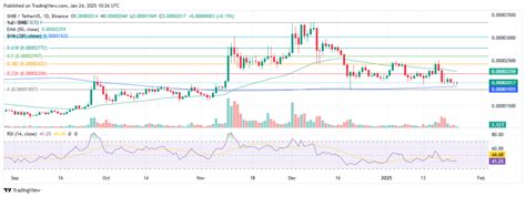 Shiba Inu Burn Rate Soars By 1000%, SHIB Price At Inflection Point