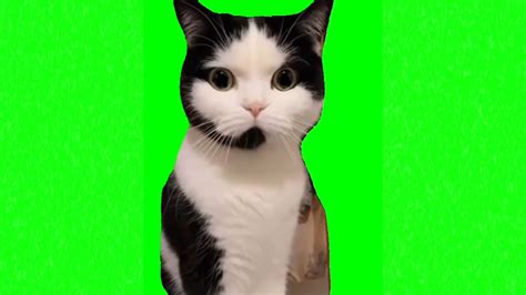 Pehle Tu De Meme Download | Memes.co.in