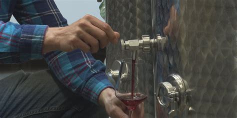 Sustainable practices one Ozarks winery uses that you could use in your ...