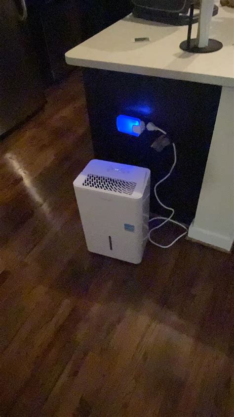 10 Best Dehumidifiers for Basements 2026 Expert Reviews