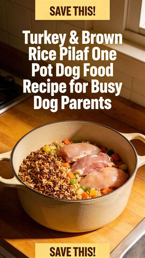 Turkey & Brown Rice Pilaf One Pot Dog Food Recipe for Busy Dog Parents ...