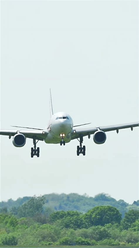 Wayne Holmes Electric