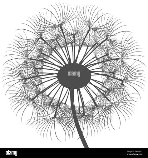 Light gray head Stock Vector Images - Alamy