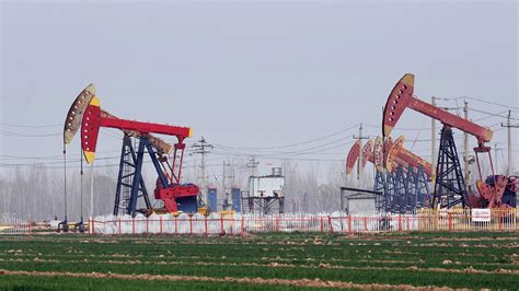 China's years-long mineral hunt pays off: 13 new oil fields discovered - CGTN