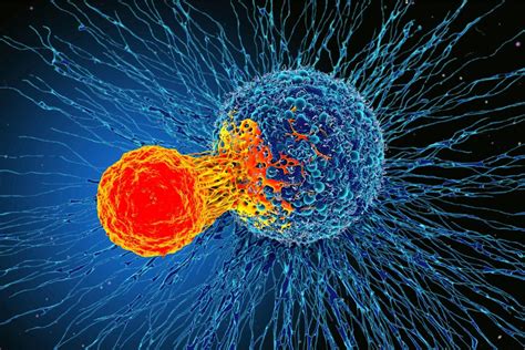 Image result for Cancer