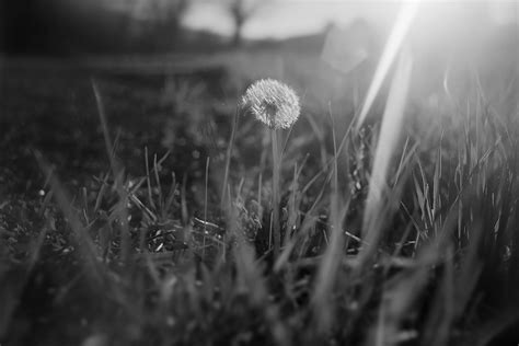 A102 Celebrate National Camera Day with Film Cameras | FAC’s Bemis ...