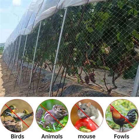 Hobonichi 2026 Hobonichi Techo Livre Technique 2025 5 Ans [japonais/A6/début Janvier/2025 à 2029 ...