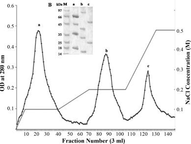 Human serum albumin as a new interacting partner of prolactin inducible ...