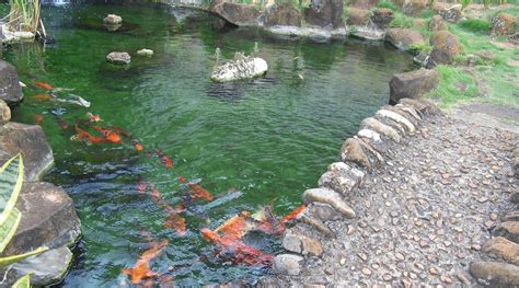 GUEST HOUSE OPORTO (Bauru, Brazil) - Hostel Reviews & Photos - Tripadvisor