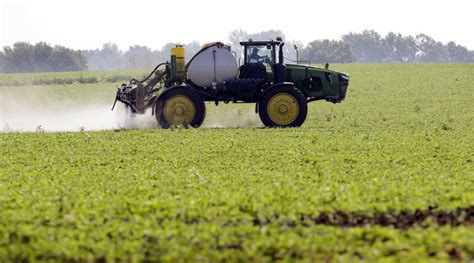 The three foods found to raise pesticide levels in human body