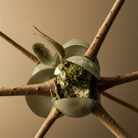 Implicit Cues → Area → Sustainability