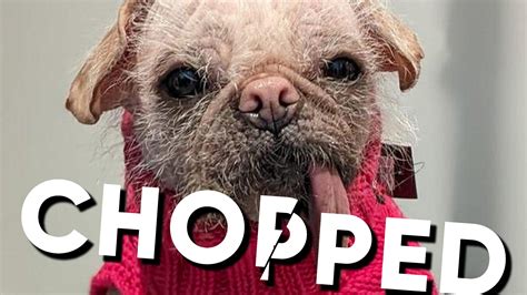 What Does 'Chopped' Mean? The Slang Term That's Grown Popular On TikTok ...