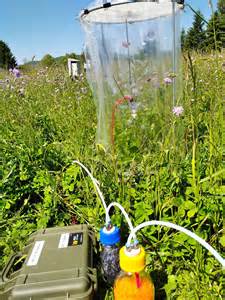 Plant diversity shapes chemical communication in ecosystems