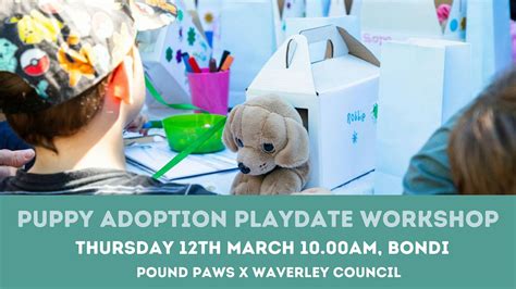 Puppy Adoption Playdate [BONDI] - A Tail-Wagging Experience for Kids ...