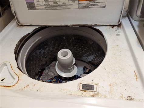 Effective Ways to Remove and Prevent Rust in Your Washing Machine for Lasting Performance ...